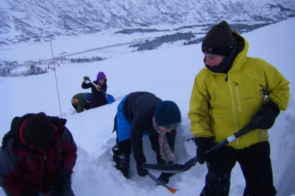 AIARE-L1_AK_20111210_015 Course participants practice digging snowpits and conducting compression tests